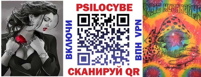 kraken как зайти  Оленегорск  Галлюциногенные грибы Psilocybine cubensis 