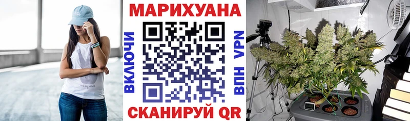 Каннабис OG Kush Оленегорск